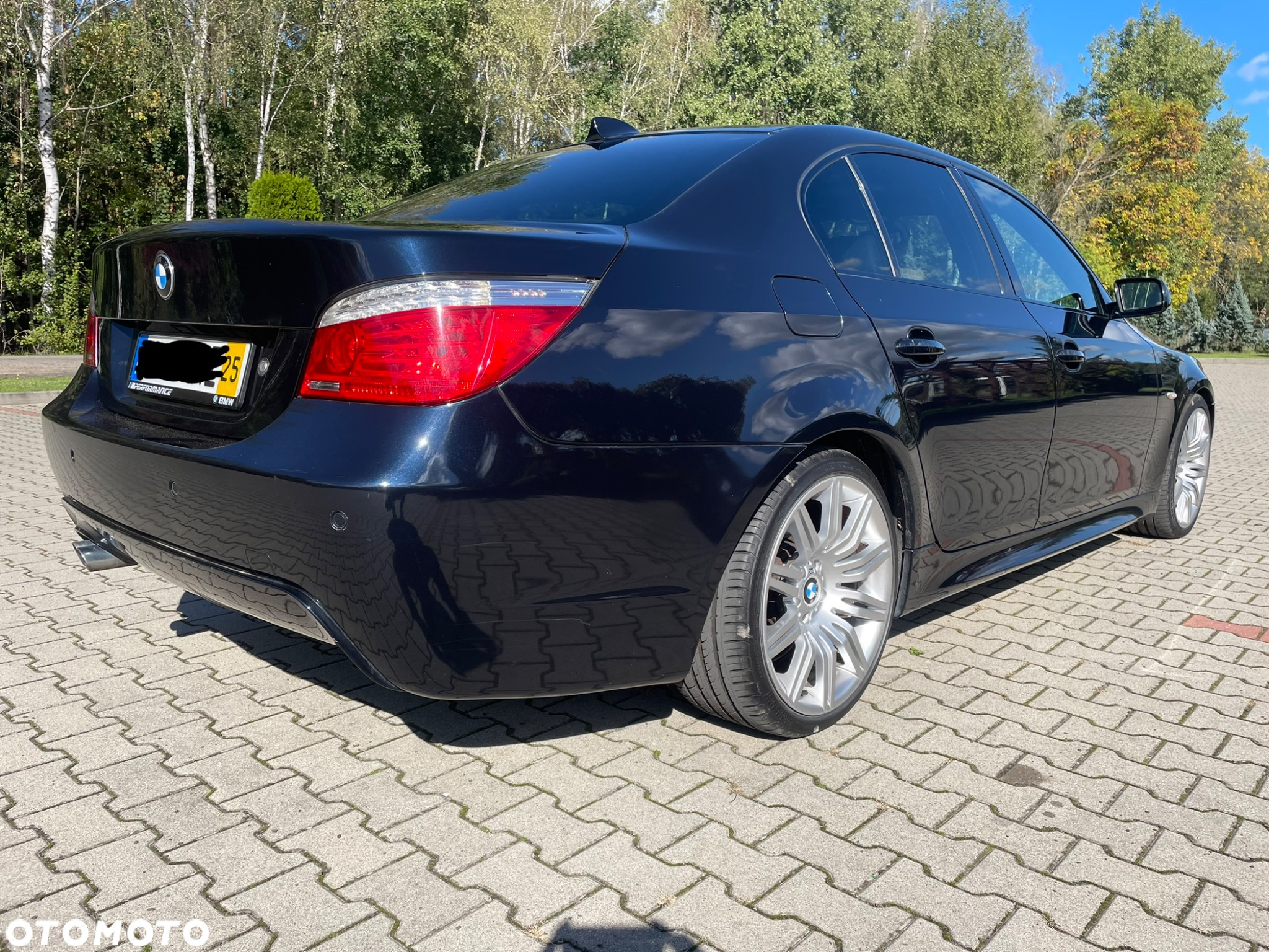 BMW Seria 5 - 11