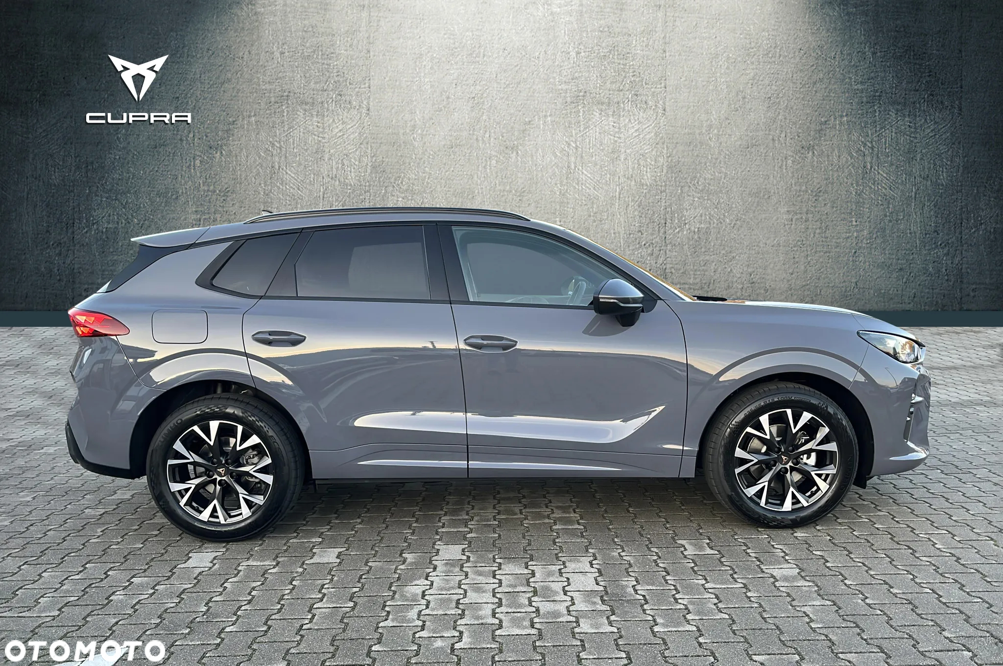 Cupra Terramar 2.0 TSI 4Drive VZ DSG - 2