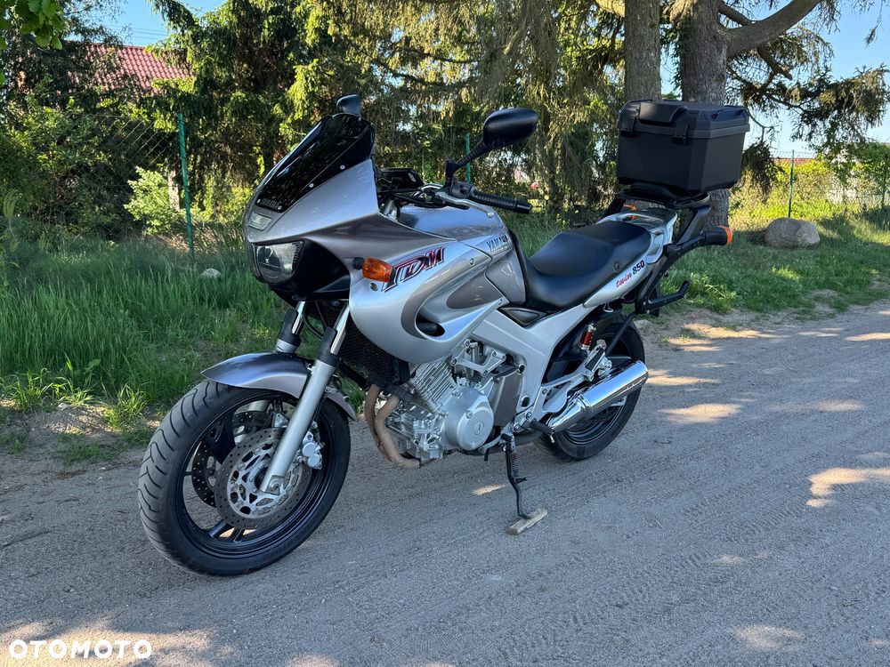 Yamaha TDM - 19