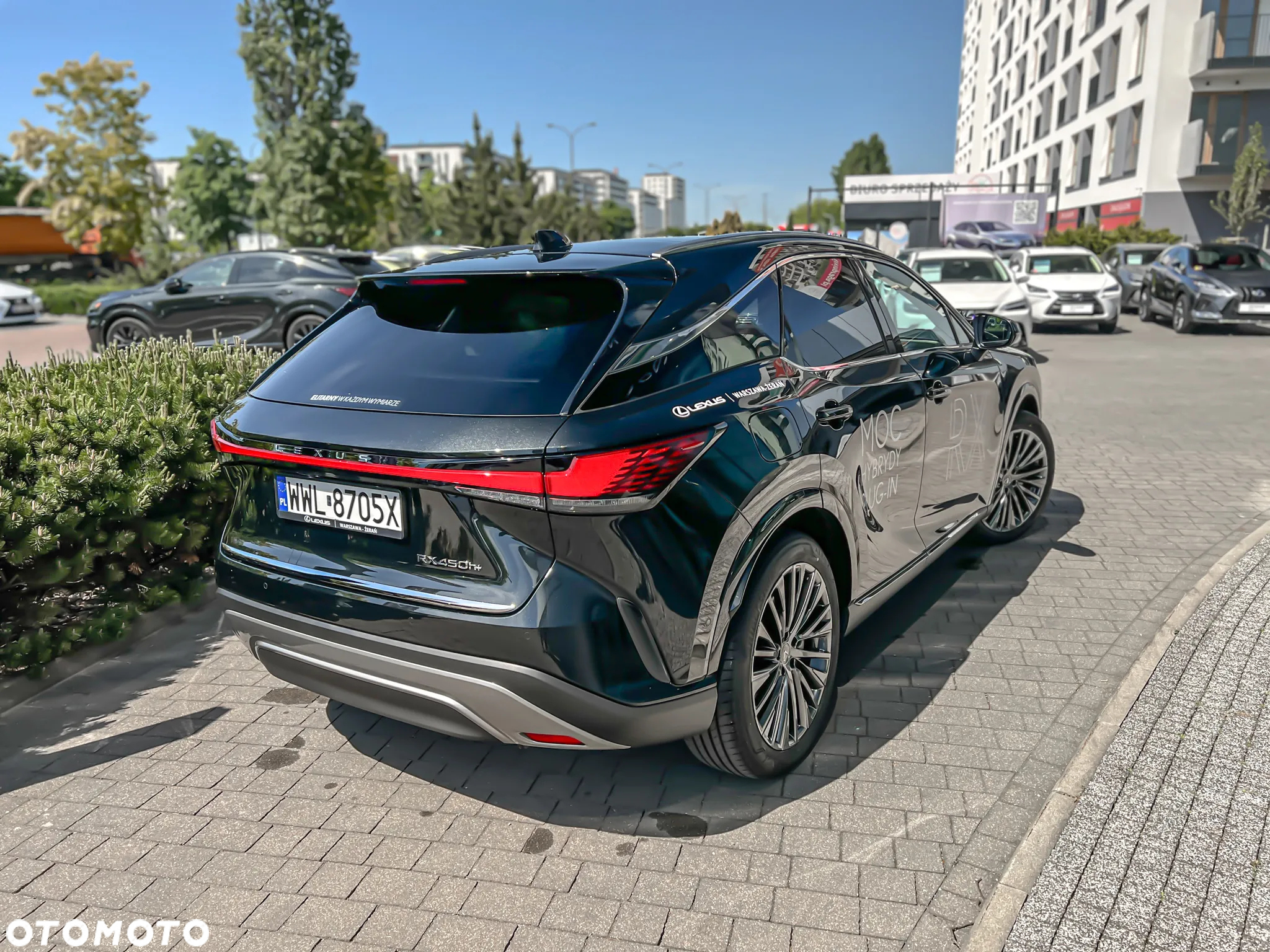 Lexus RX ver-450hplus-omotenashi - 11