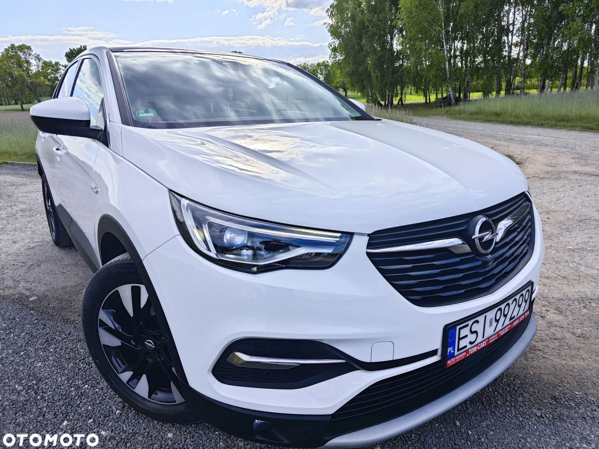 Opel Grandland X 2.0 D Start/Stop Automatik Business INNOVATION - 1