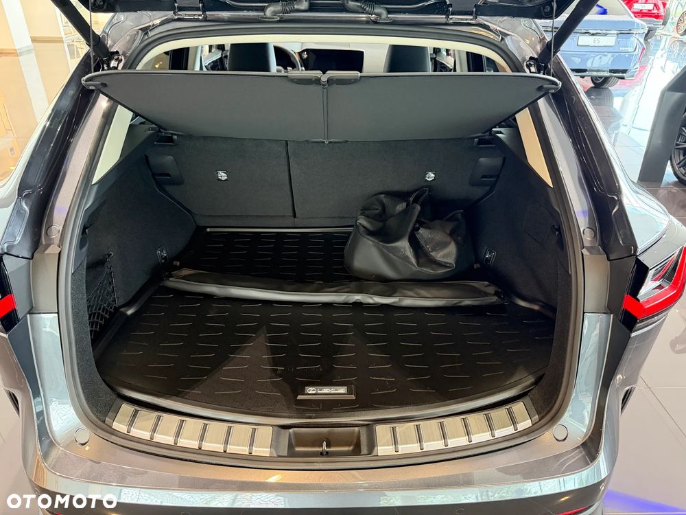 Lexus NX - 7