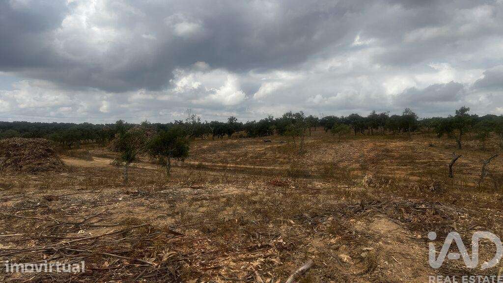 Terreno Agrícola em Abela - Grande imagem: 4/8