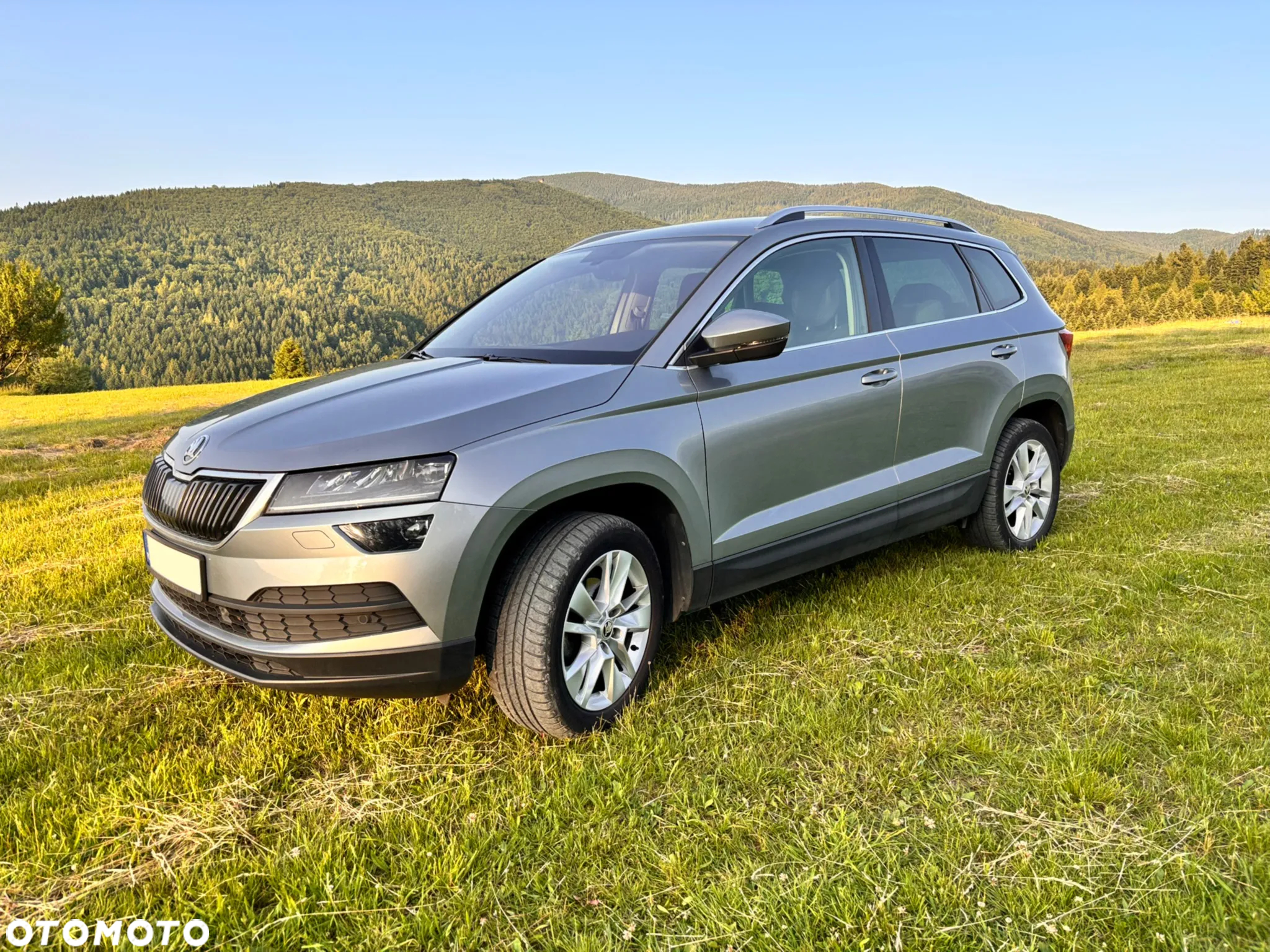 Skoda Karoq - 2