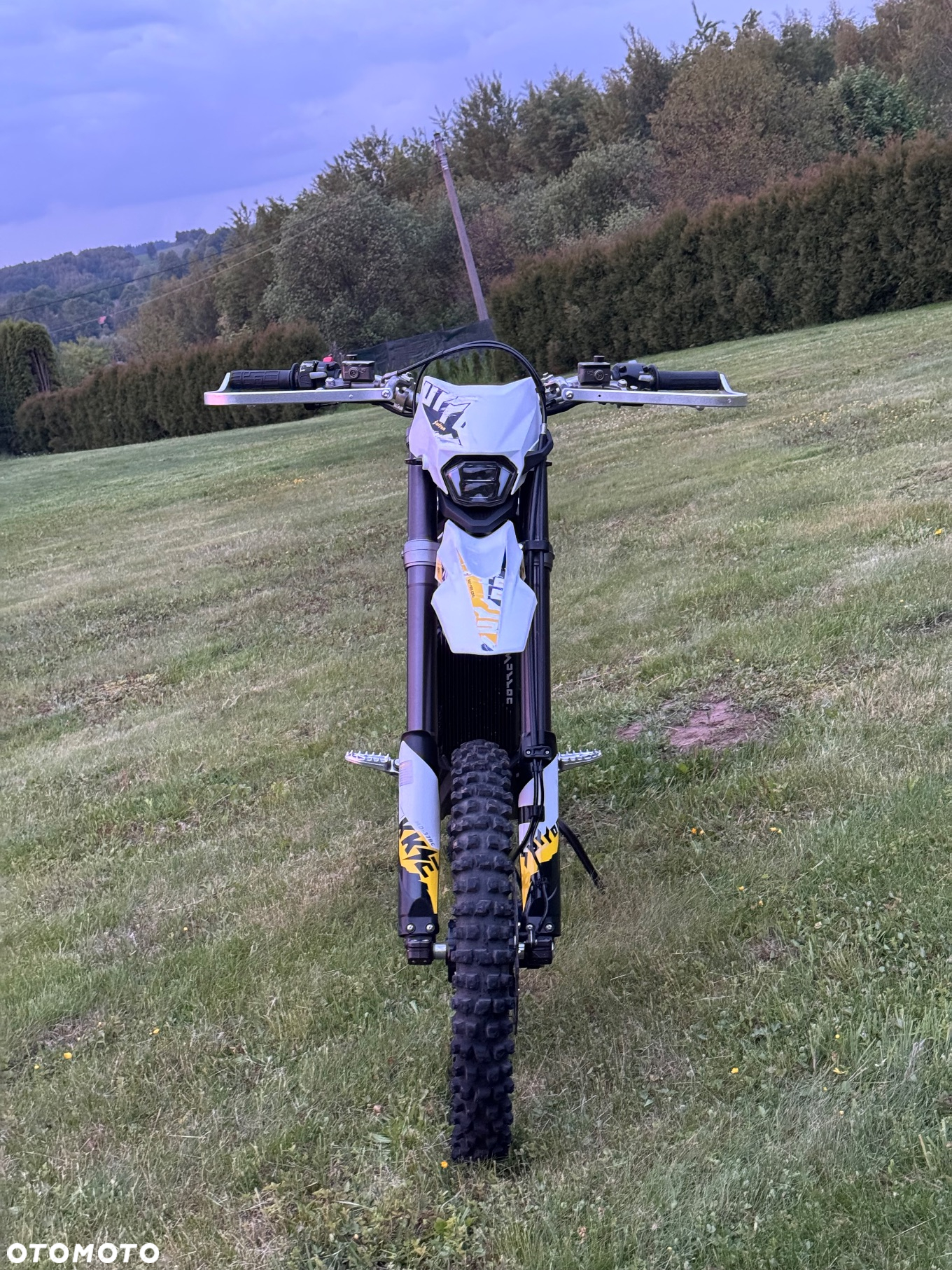 Surron Ultra-Bee