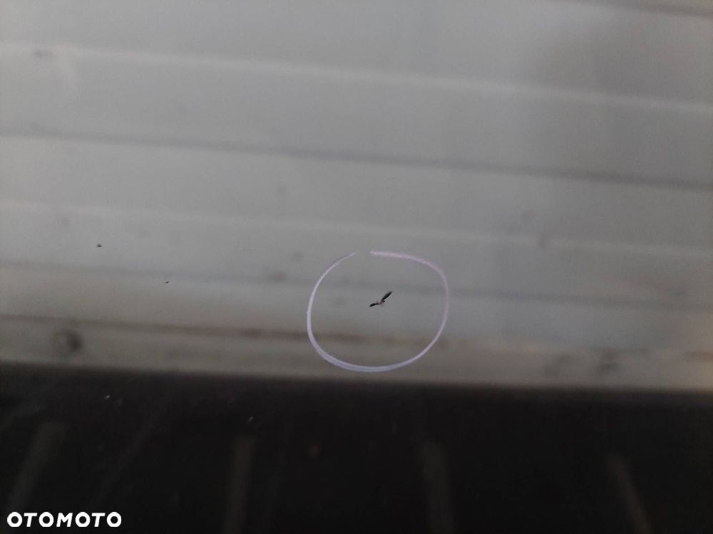 SZYBA CZOŁOWA PRZEDNIA AUDI A3 8L MAZOWSZE - 3