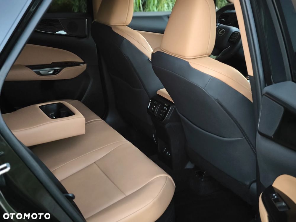 Lexus NX - 21