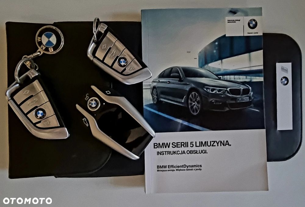 BMW Seria 5 530d xDrive Sport Line sport - 10