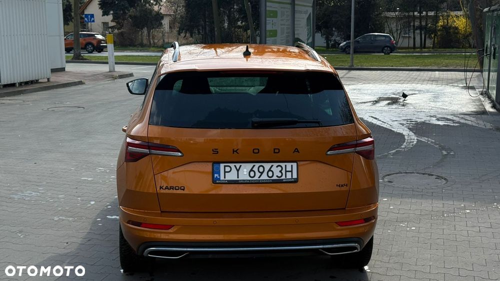 Skoda Karoq - 17
