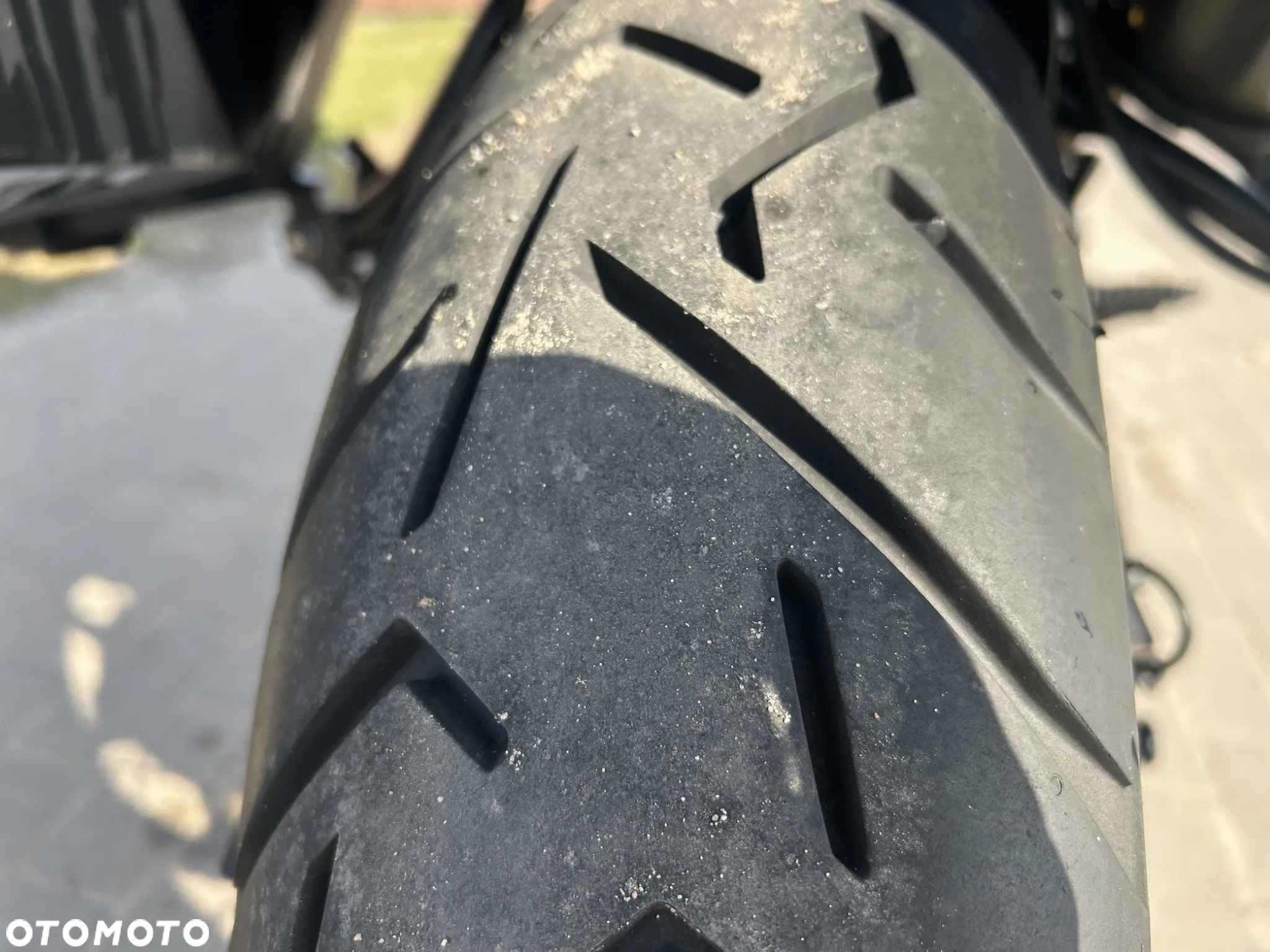 Triumph Tiger - 12