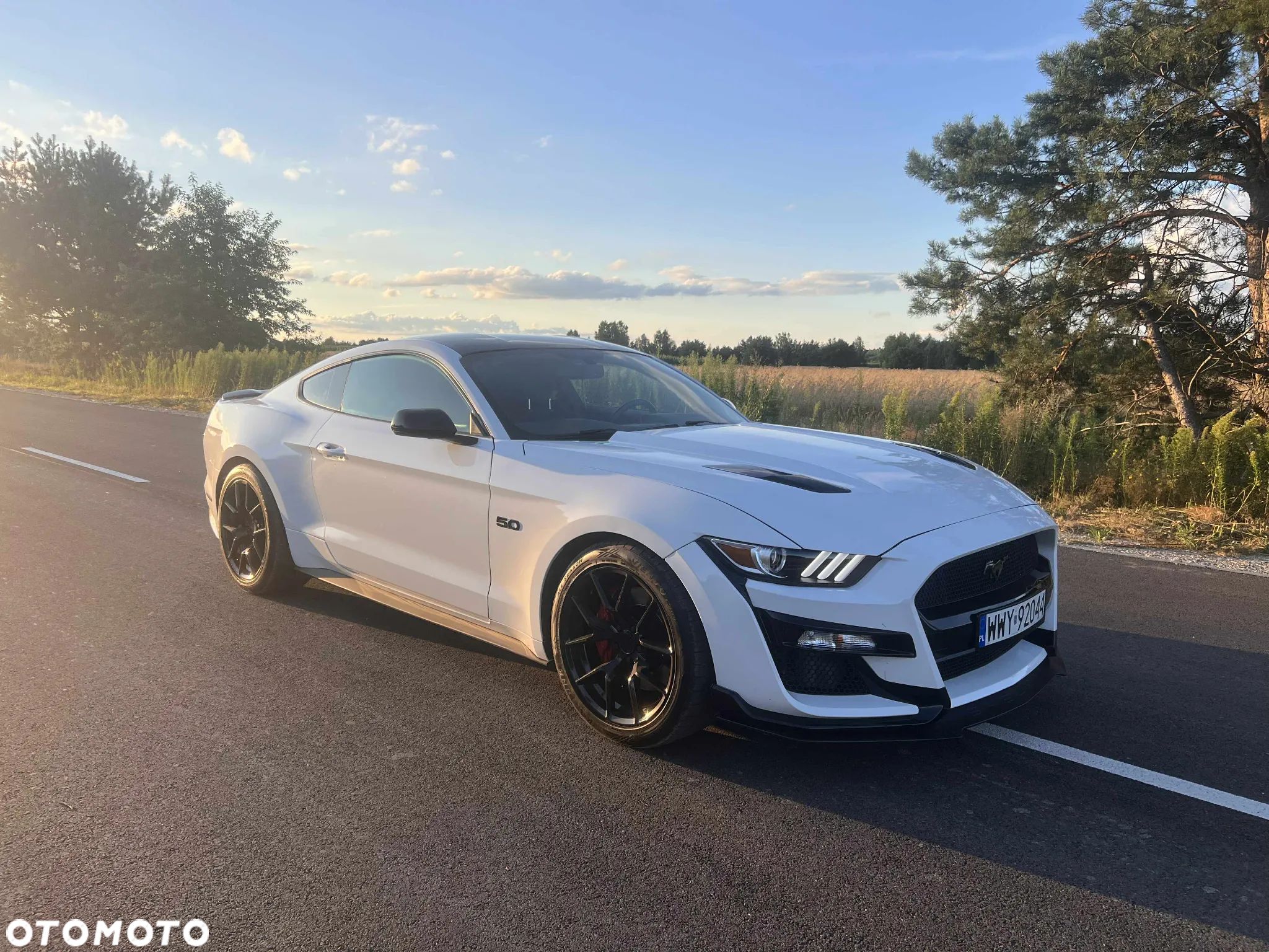 Ford Mustang 5.0 V8 GT - 1