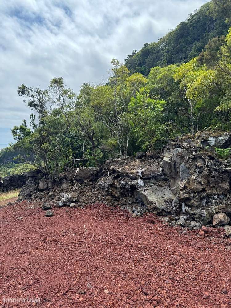 Terreno com Vista Mar na Baía de Canas – Um Refúgio no Paraíso da Ilha - Grande imagem: 4/15