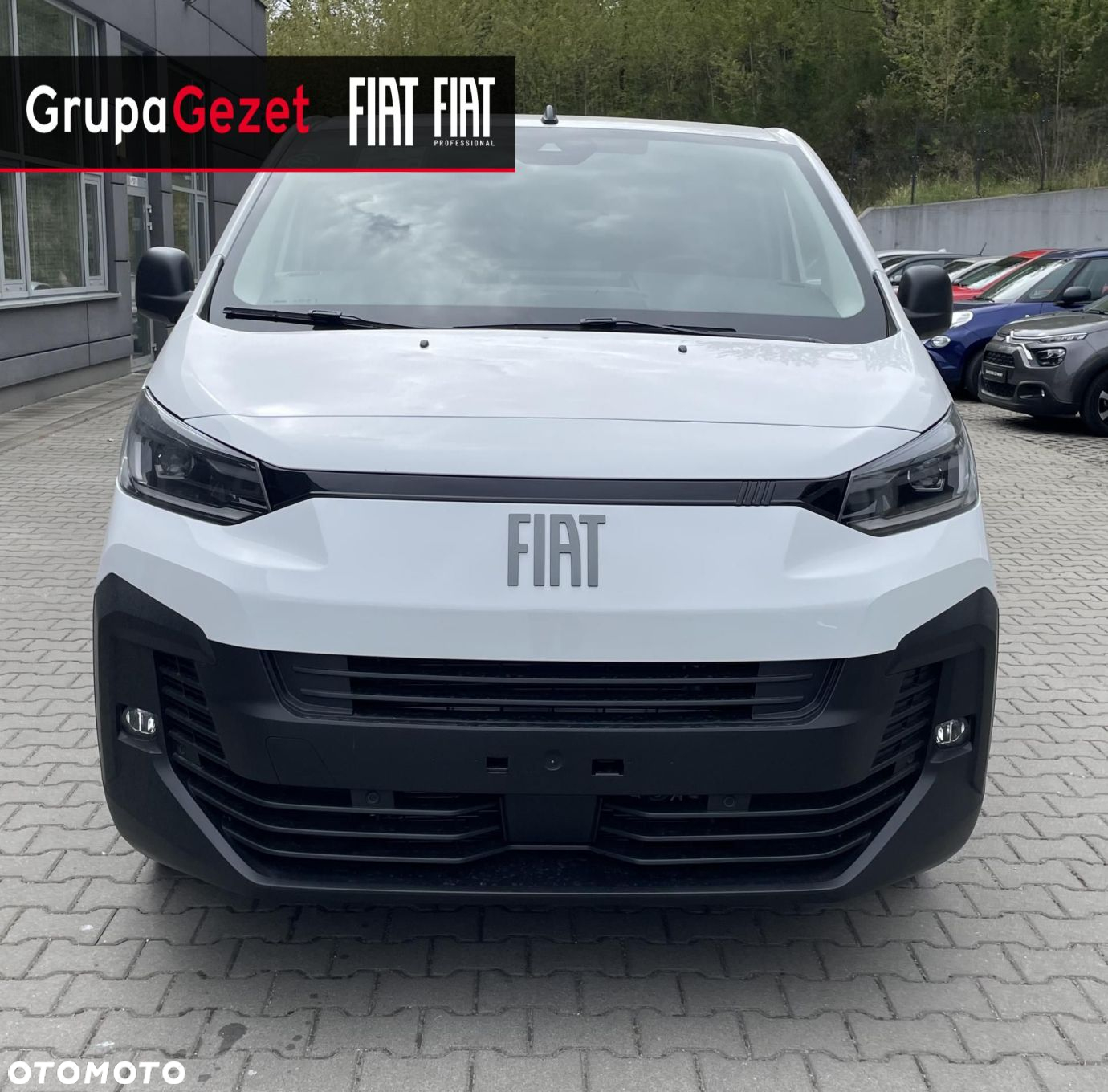 Fiat eScudo - 5