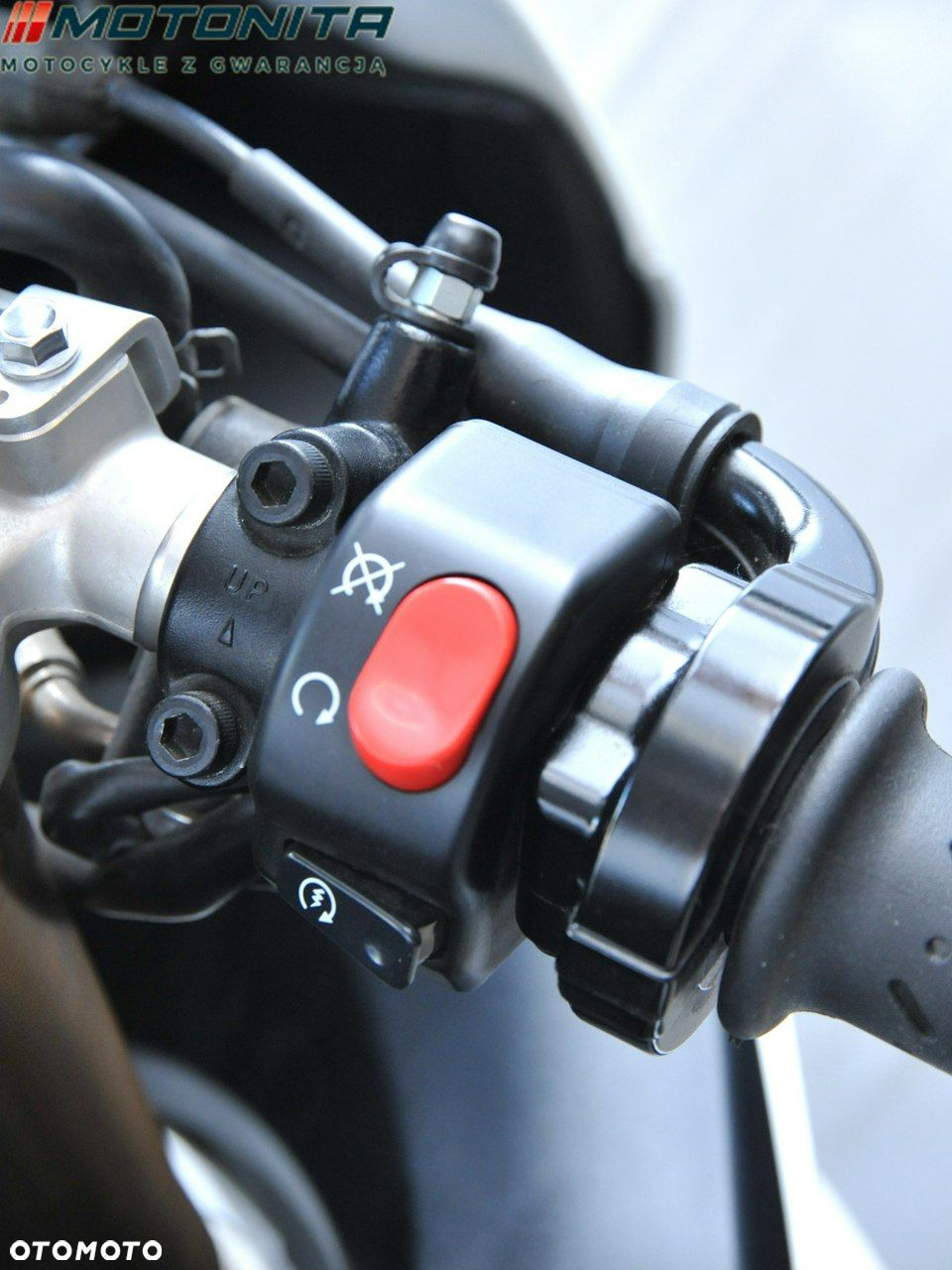 Triumph Daytona - 13
