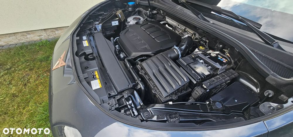 Cupra Terramar 2.0 TSI 4Drive Advantage Edition DCC DSG - 21