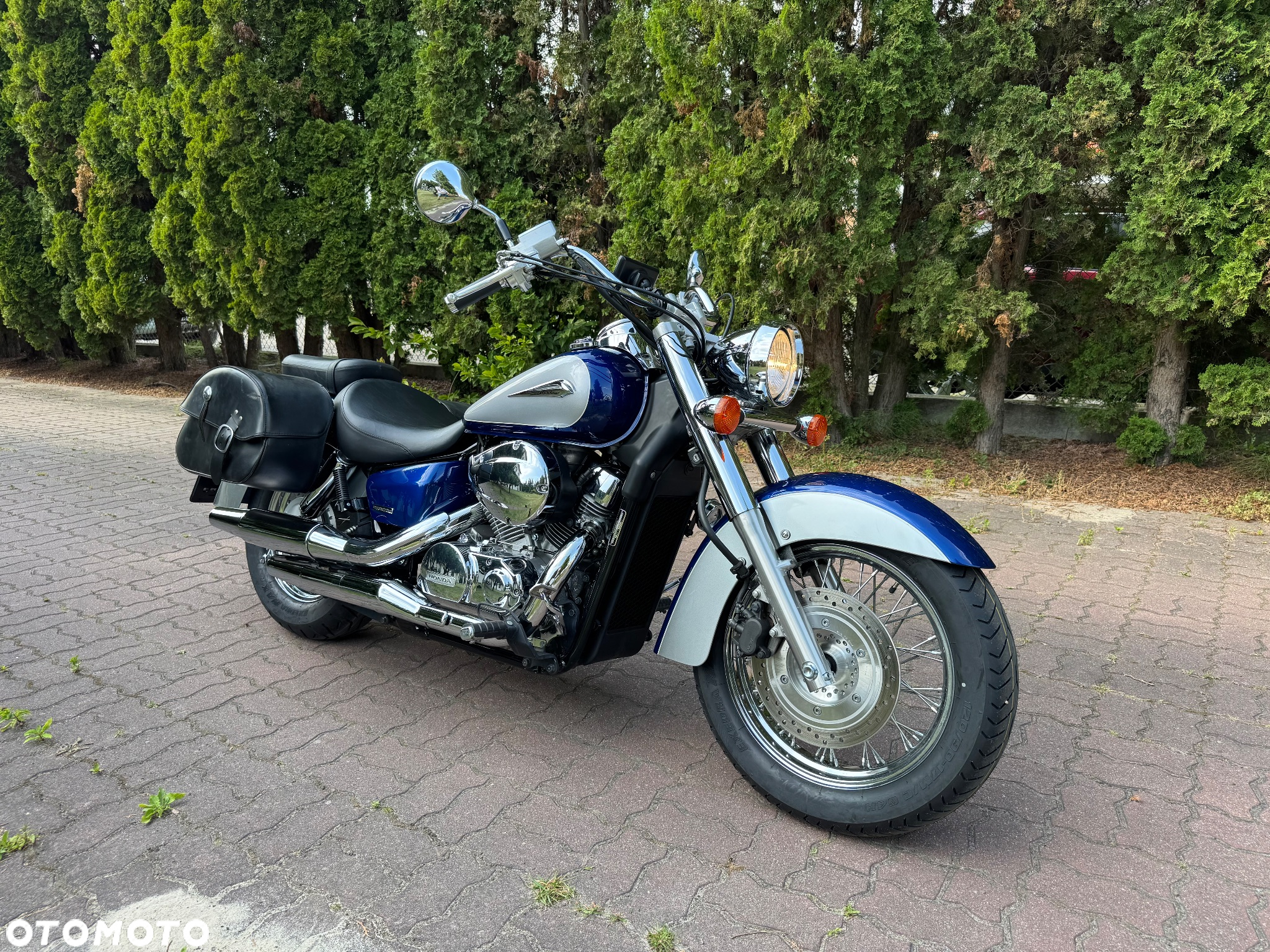 Honda Shadow - 3
