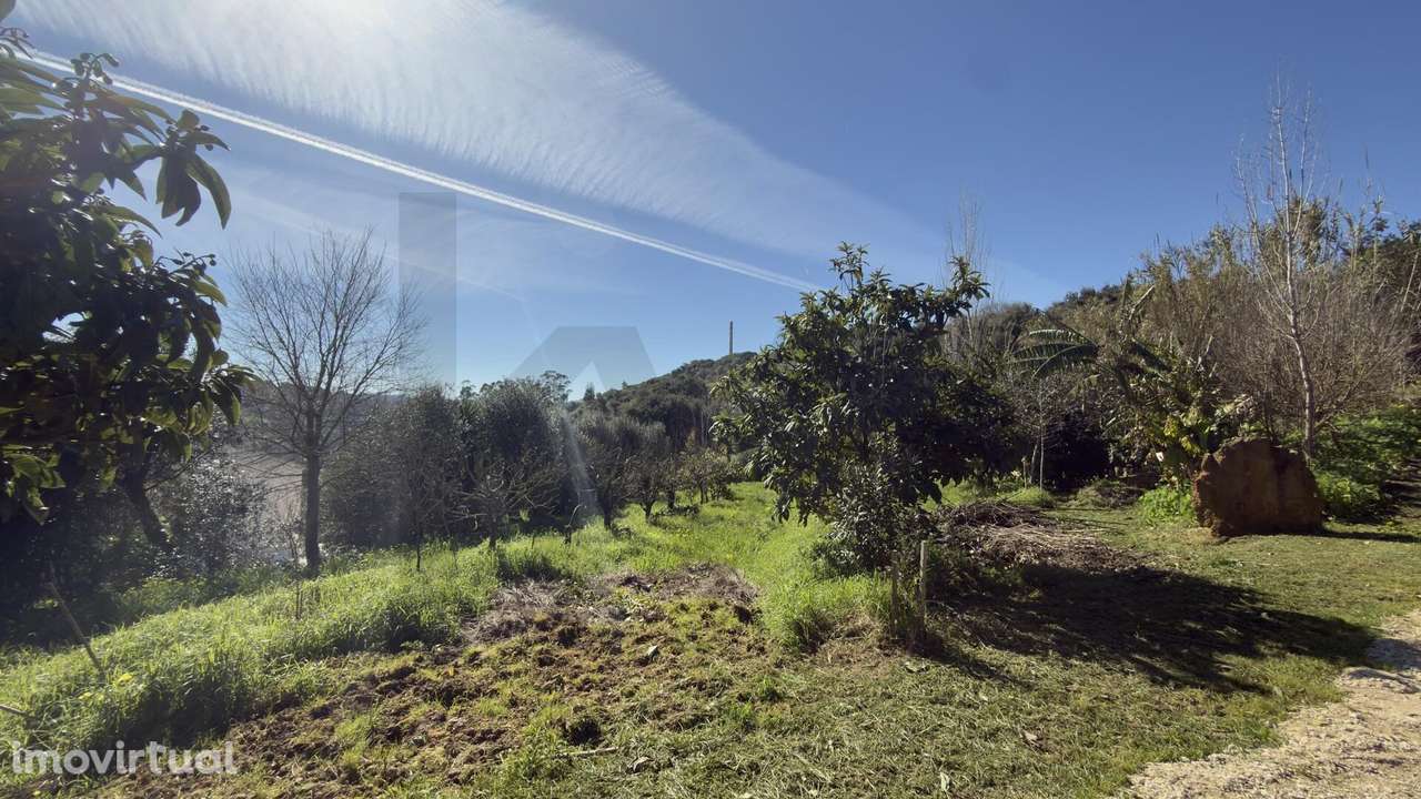 Terreno com Projeto Vivo de Permacultura e Potencial de Construção | P - Grande imagem: 2/56