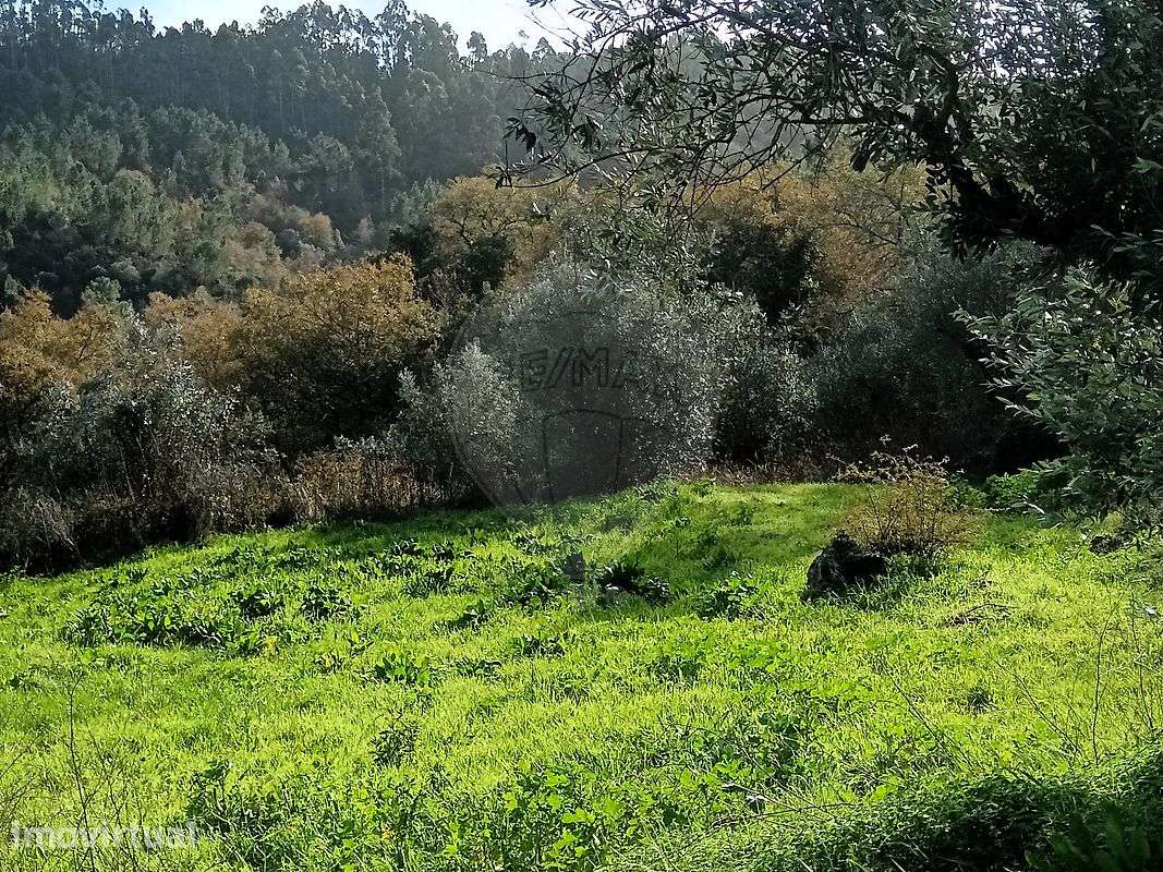 Terreno  para venda - Grande imagem: 5/8