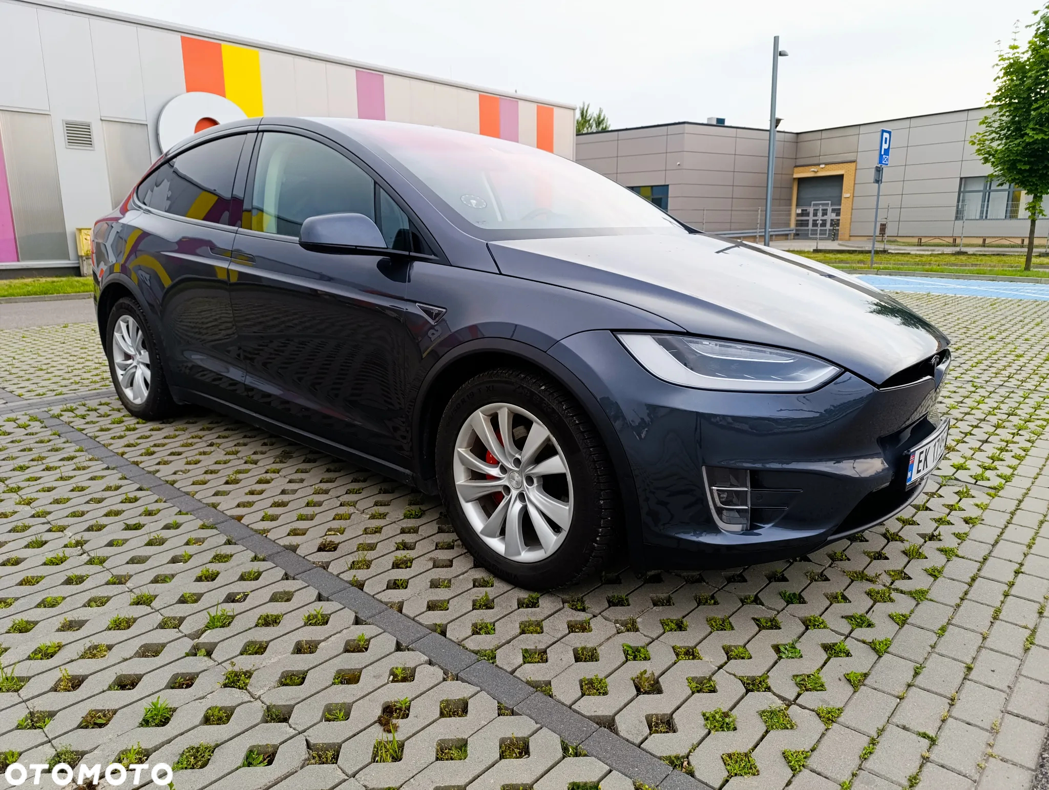 Tesla Model X Performance - 20