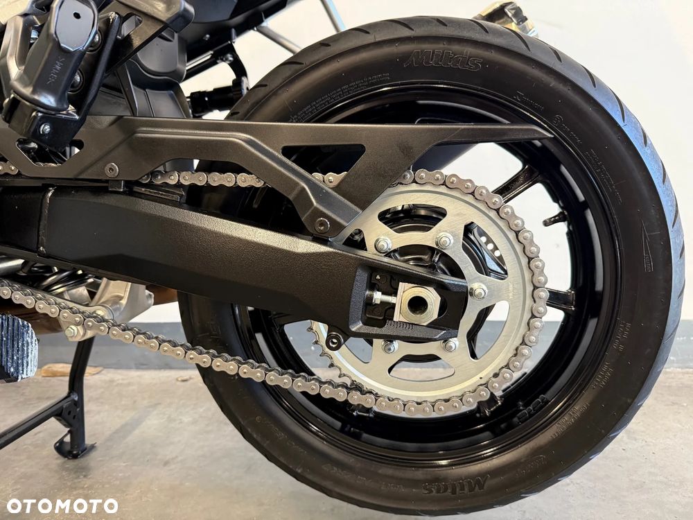 Suzuki V-STROM - 18
