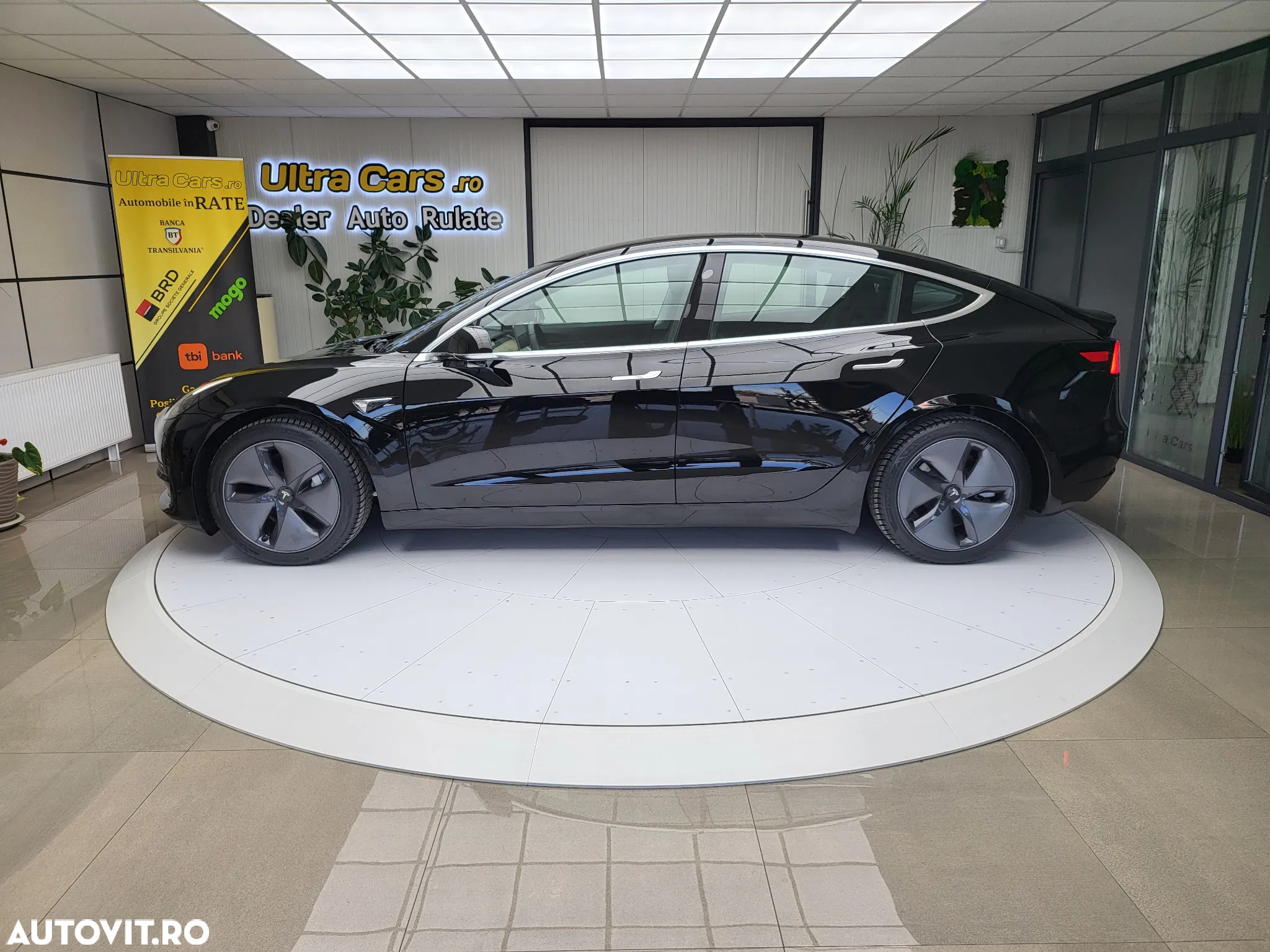 Tesla Model 3 Langstreckenbatterie Allradantrieb Dual Motor - 3