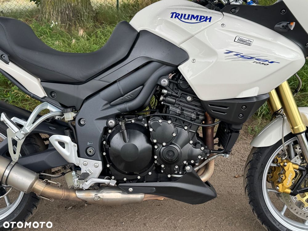 Triumph Tiger - 5
