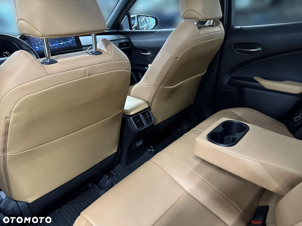 Lexus UX 250h GPF F Sport Design 2WD - 12