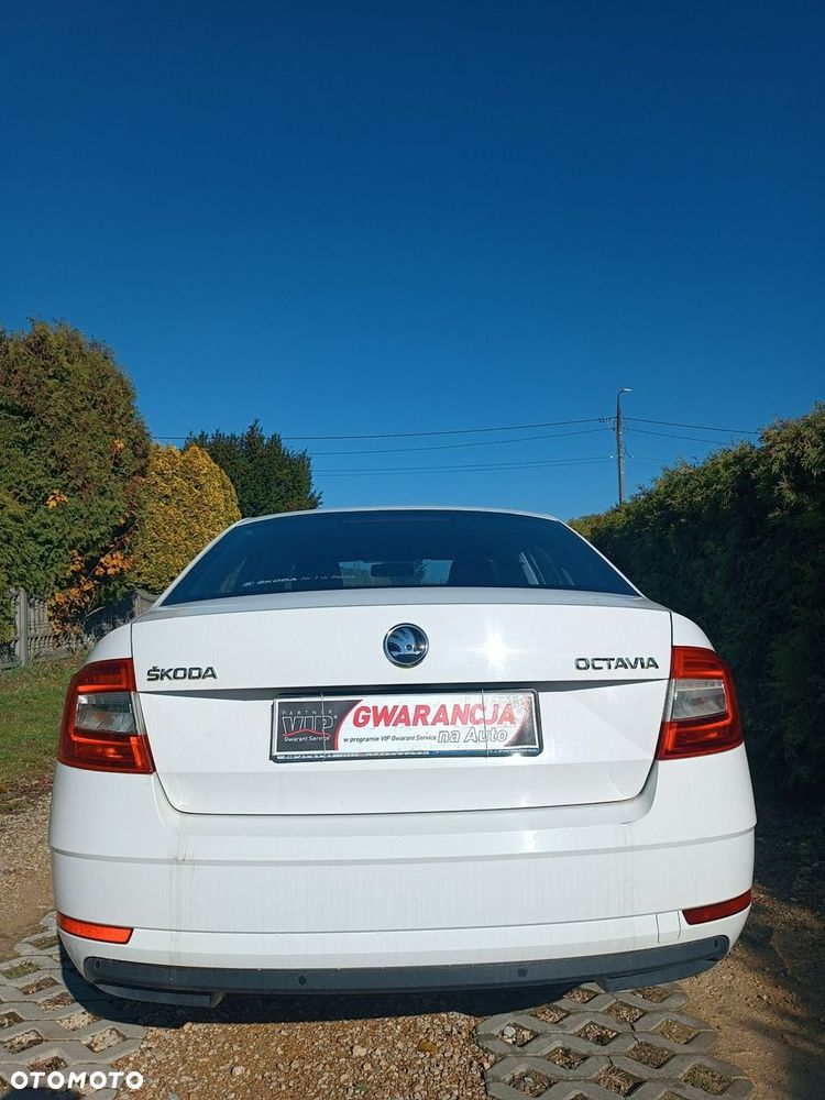 Skoda Octavia - 10