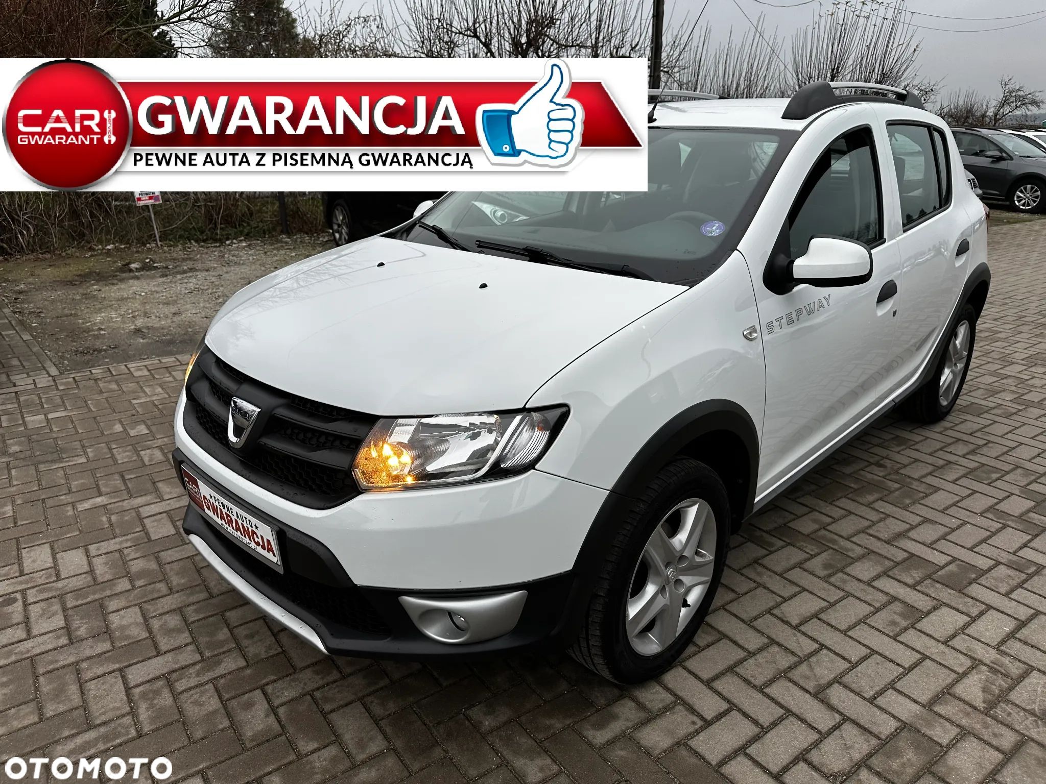 Dacia Sandero Stepway - 1