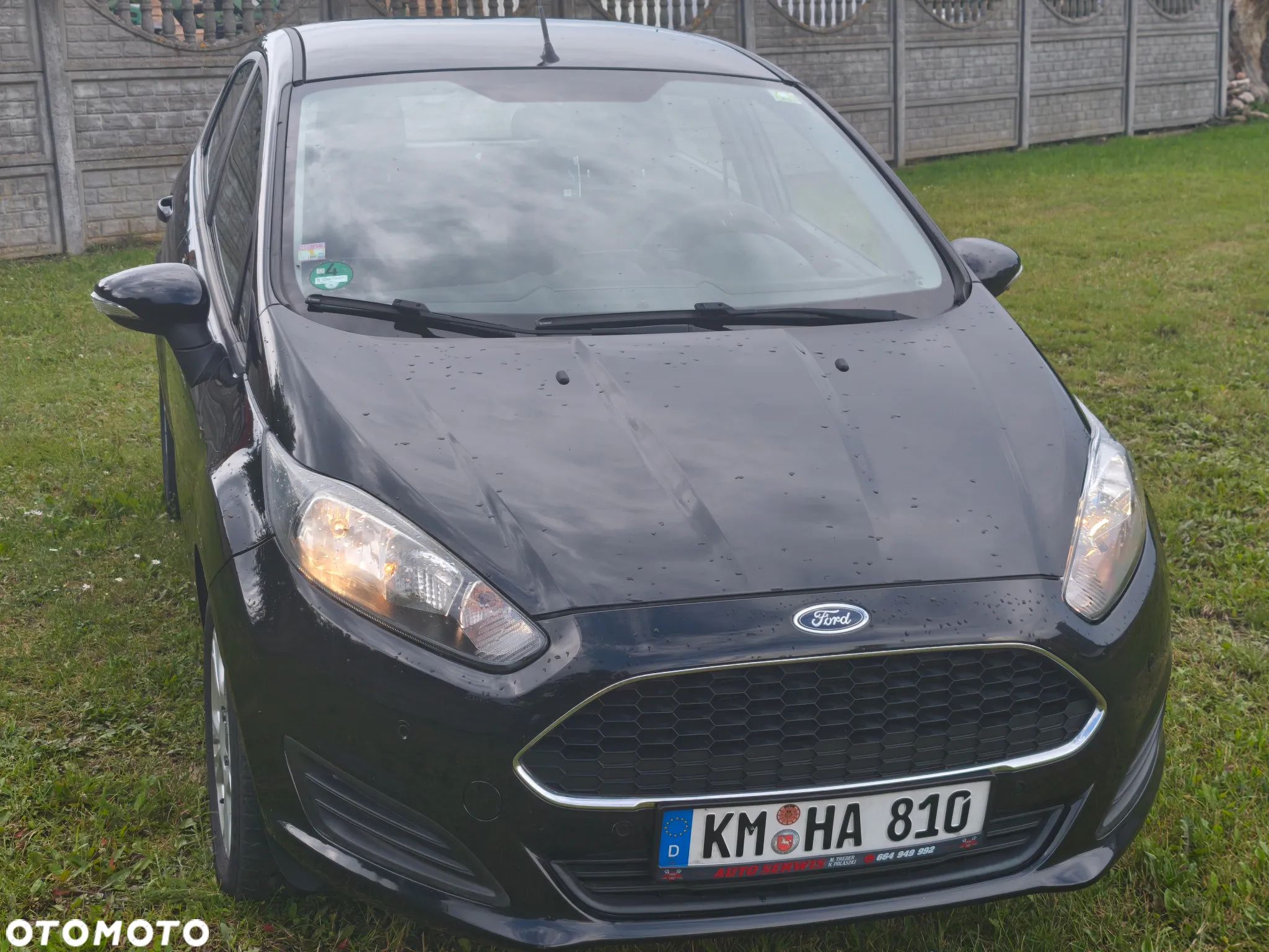 Ford Fiesta - 1