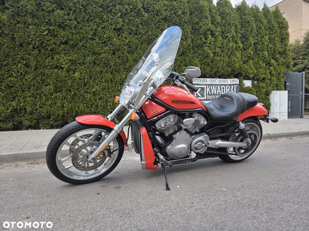 Harley-Davidson Softail V-Rod - 9