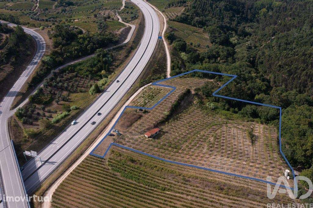 Terreno em Lamas - Grande imagem: 2/30