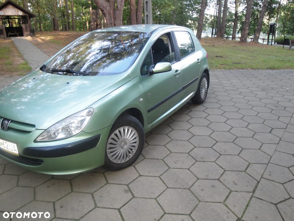 Peugeot 307 1.6 XS Class - 2