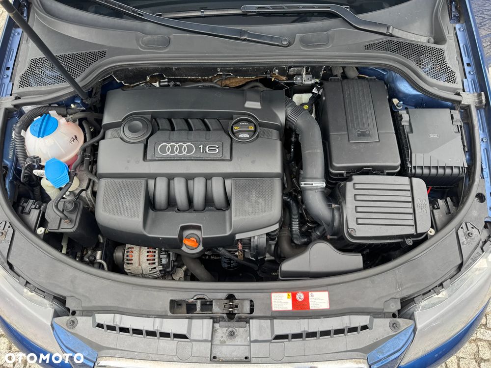 Audi A3 3-drzwiowe 1.6 Ambition - 35
