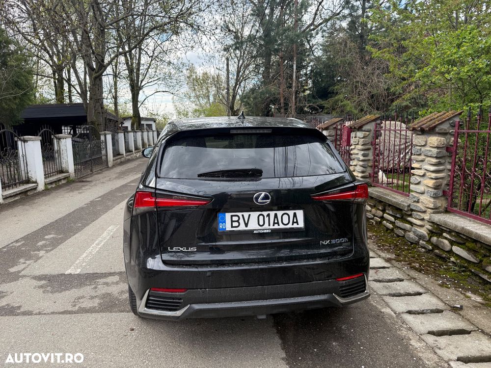 Lexus Seria NX 300h Business Edition - 5