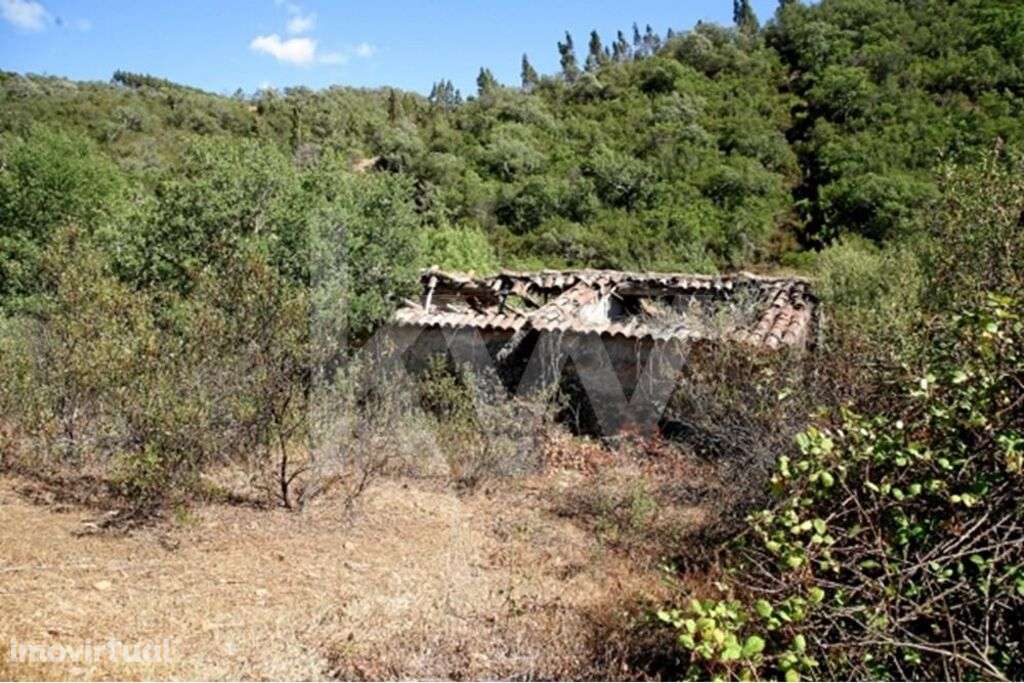 Prédio misto - Serrado - Grande imagem: 5/10