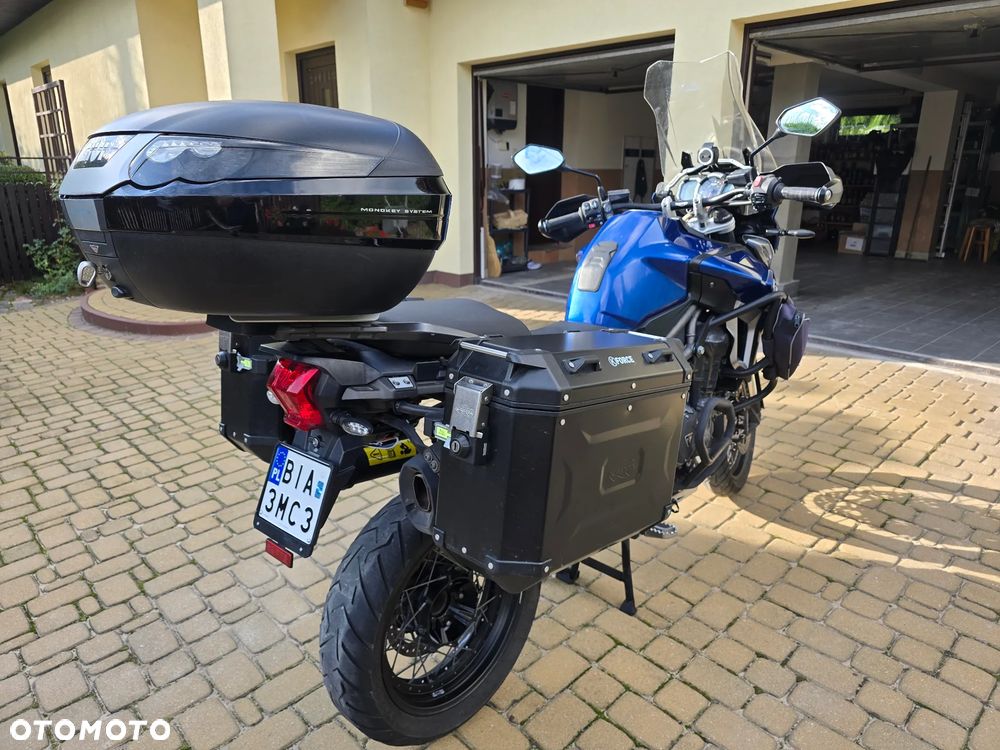 Triumph Tiger - 11