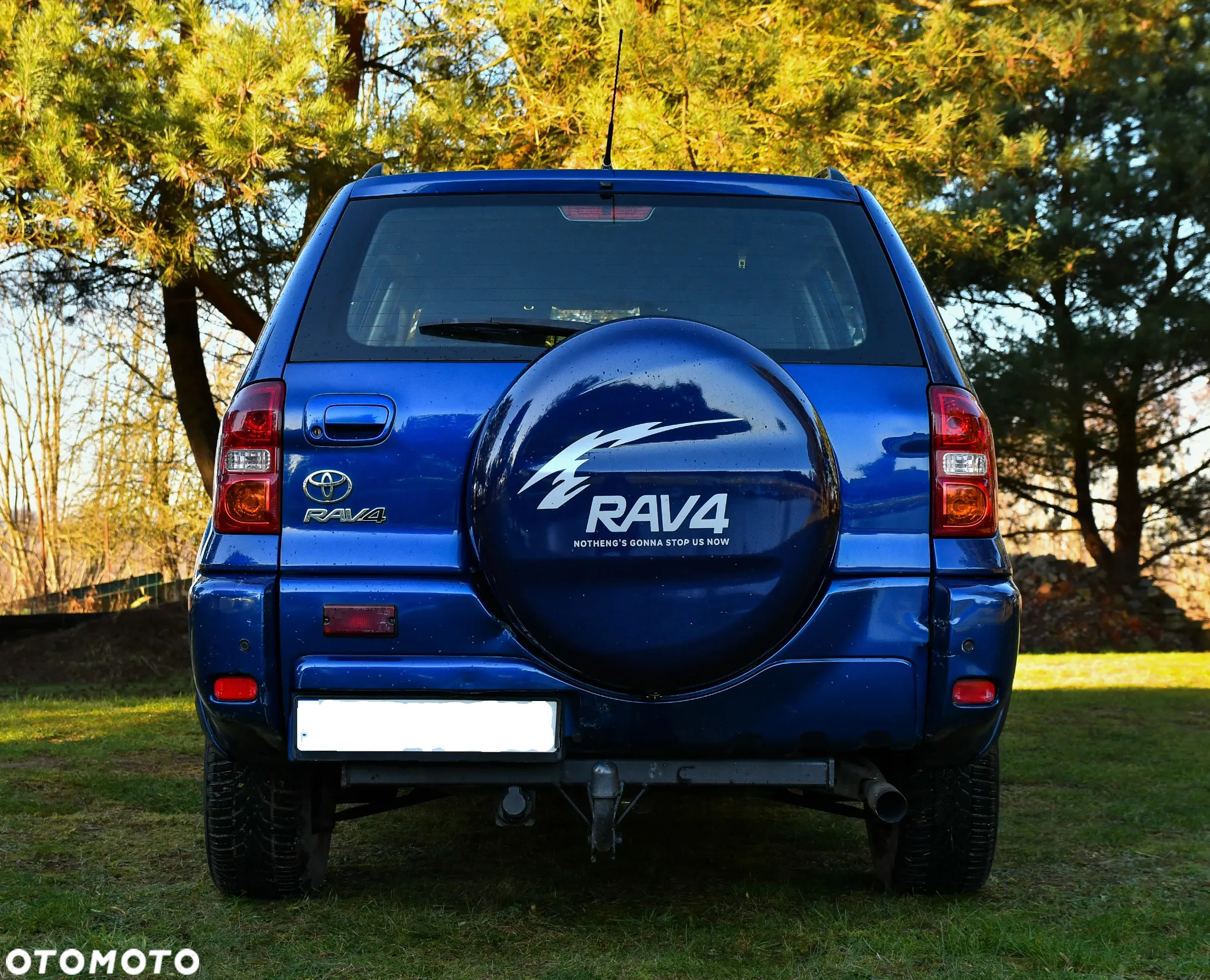 Toyota RAV4 2.0 D-4D 4x4 - 6