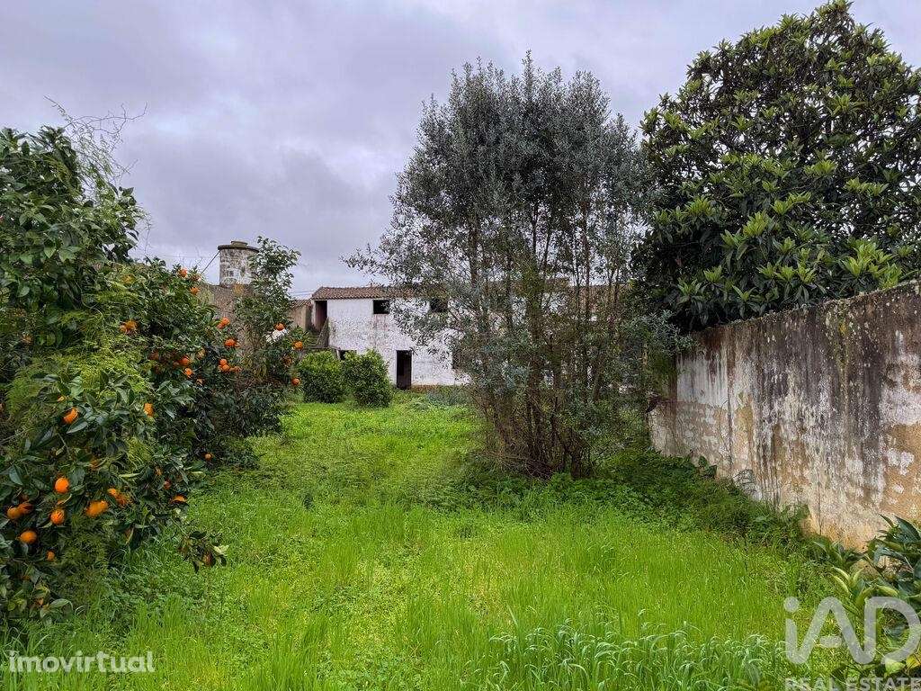 Moradia térrea em Benfica do Ribatejo - Grande imagem: 3/36