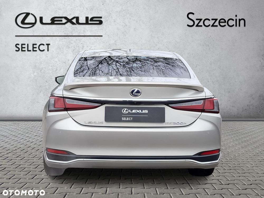 Lexus ES 300h Omotenashi - 3