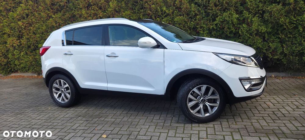 Kia Sportage 1.6 GDI Business Line M 2WD - 18
