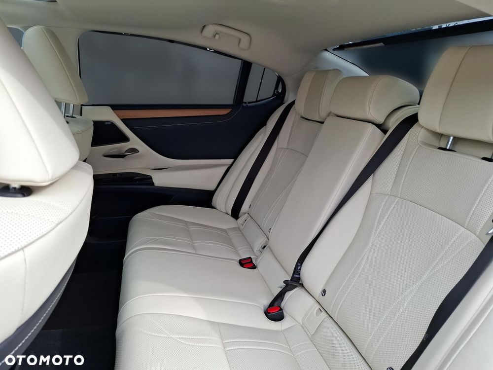 Lexus ES 300h Omotenashi - 13