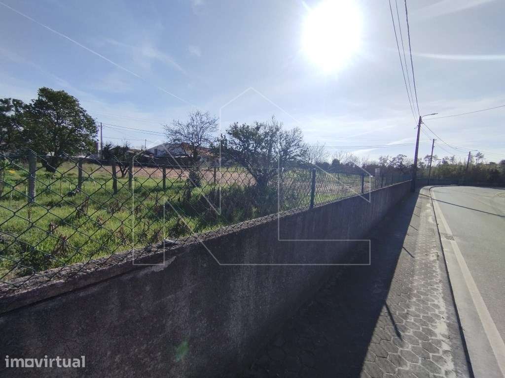 Terreno em Oliveira do Bairro - Grande imagem: 2/5