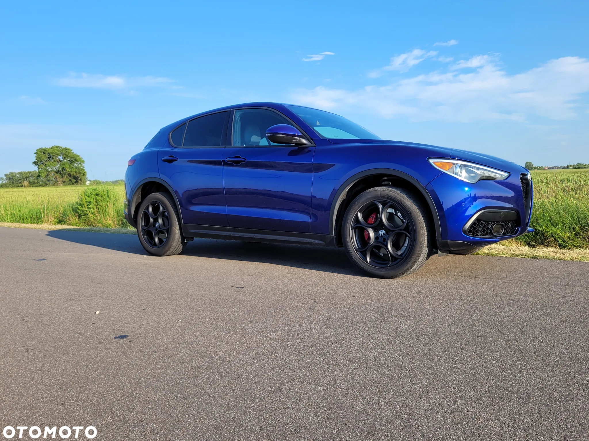 Alfa Romeo Stelvio 2.0 Turbo Sprint Q4 - 2