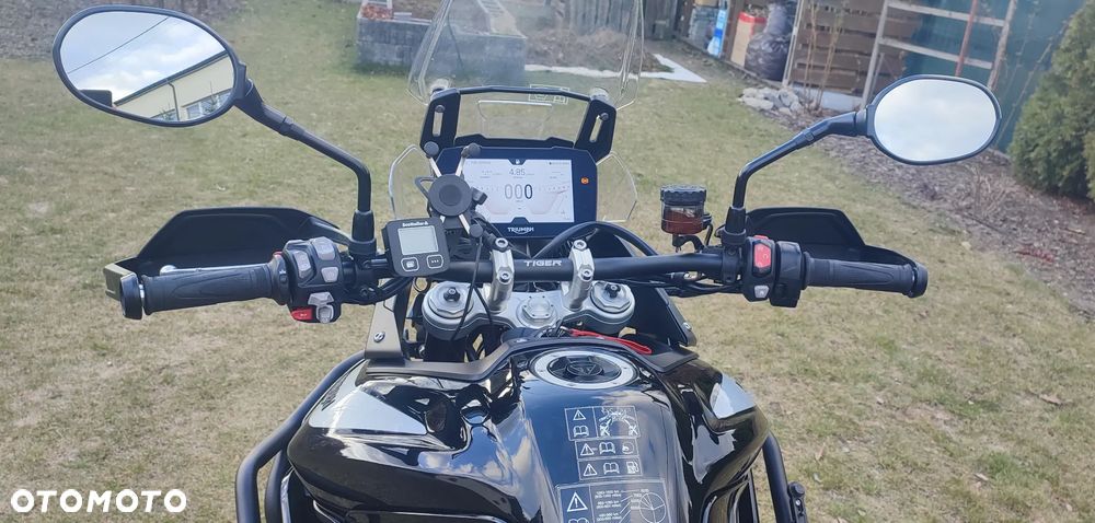 Triumph Tiger - 13