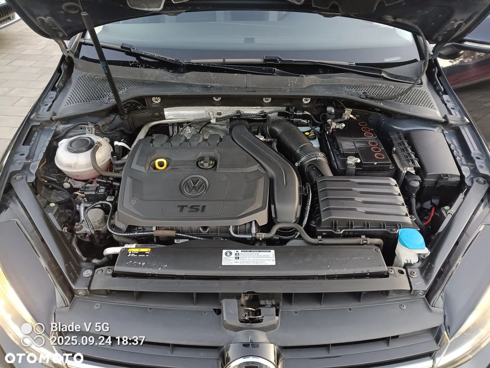 Volkswagen Golf 1.5 TSI BMT Evo Highline DSG - 23