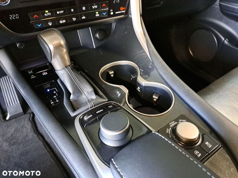 Lexus RX - 28