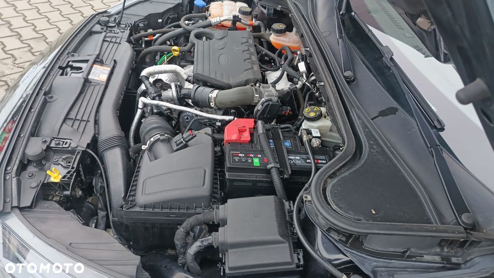Ford Focus - 6