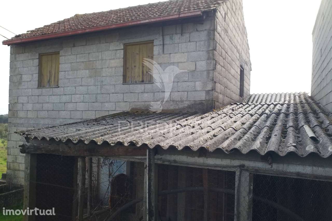 Quinta com Potencial de Construção | +11.000 m² | Alcafache – Moime... - Grande imagem: 5/20