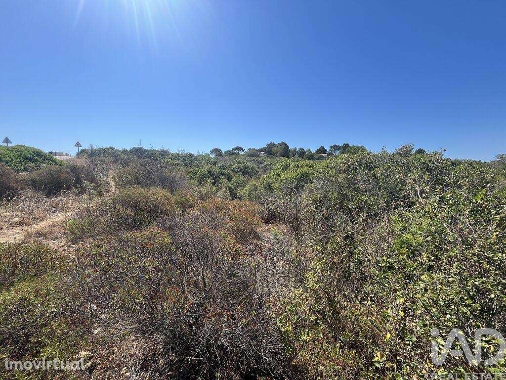 Terreno em Barão de São Miguel - Grande imagem: 3/6